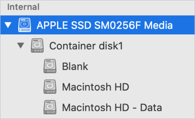 Thanh bên Disk Utility hiển thị ổ đĩa mẹ cho bộ nhớ trong của Mac