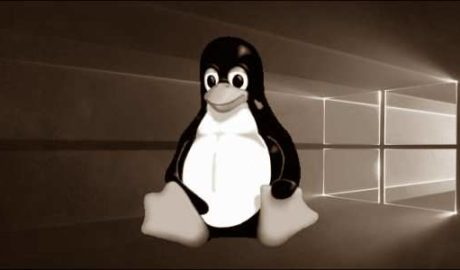 win-linux-2020