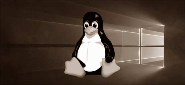 win-linux-2020