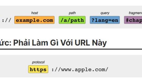 URl là gi