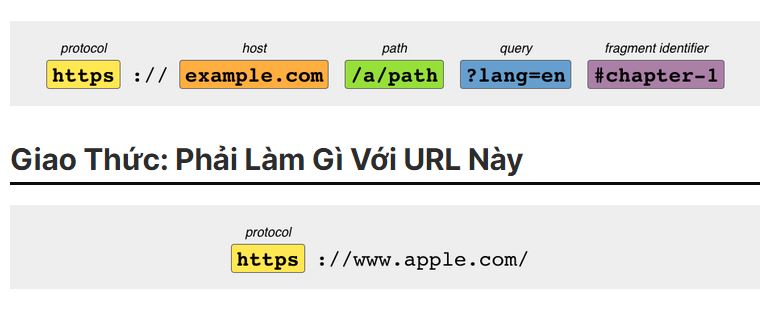 URl là gi