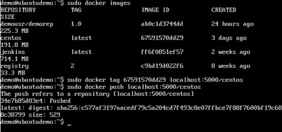 Docker - Private Registries