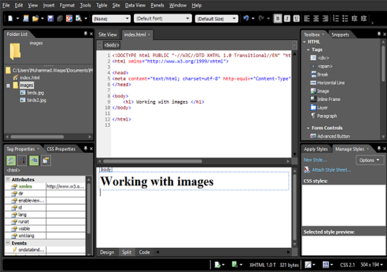 Microsoft Expression Web - Hình ảnh