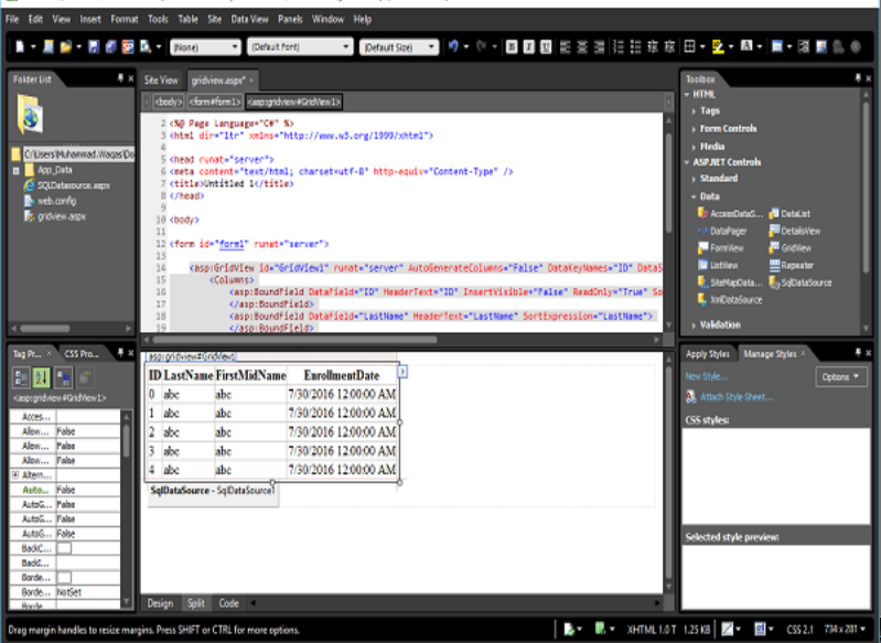 Microsoft Expression Web - Gridview 