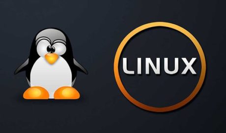 Unix Linux - Thay thế Shell