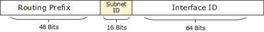 mạng giao thức ipv6